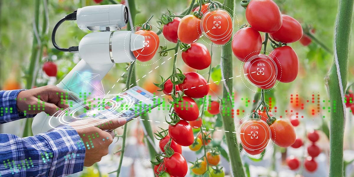 AgriFood Future 2024: riflettori puntati sui derivati del pomodoro